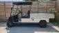 Preview: BT-Golfcars "TM1000"